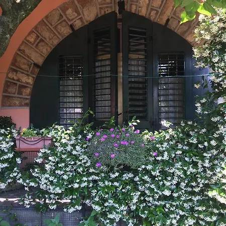 Apartment Nature & Relax