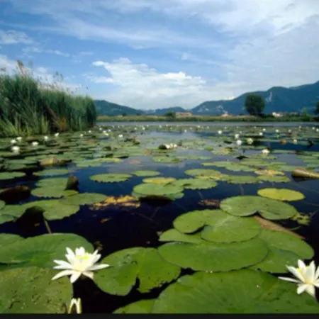 Nature & Relax * Iseo